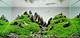 How to Create Aquascaping on Hills