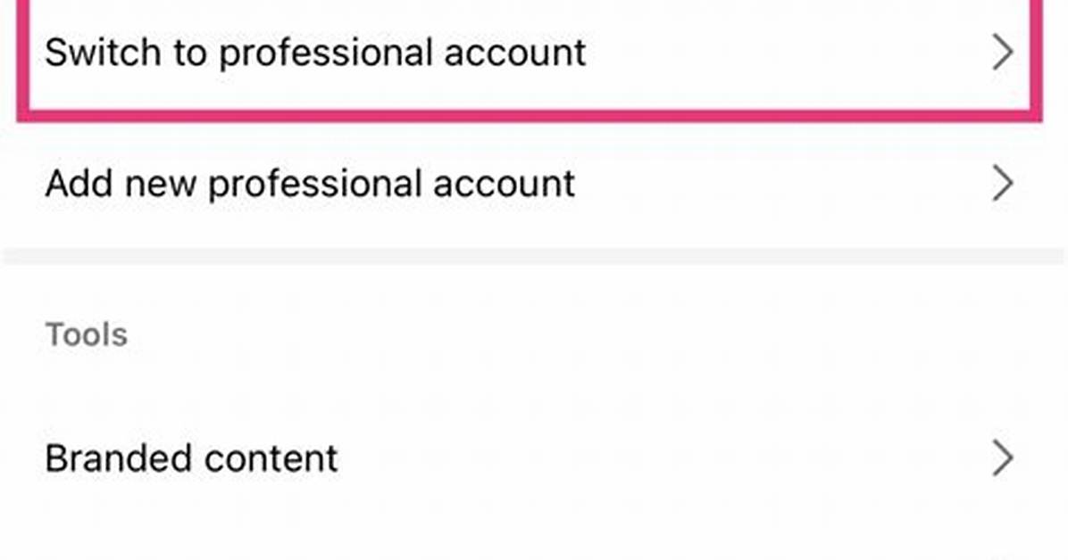 How to Delete Professional and Business Account on Instagram?