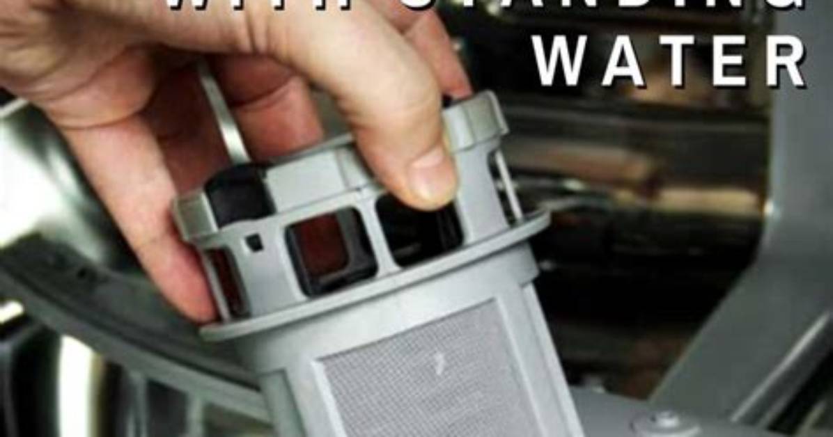 How to Drain Standing Water with a Dry