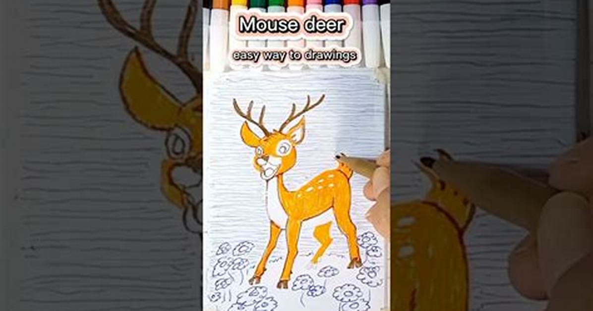 How to Draw a Deer Mouse