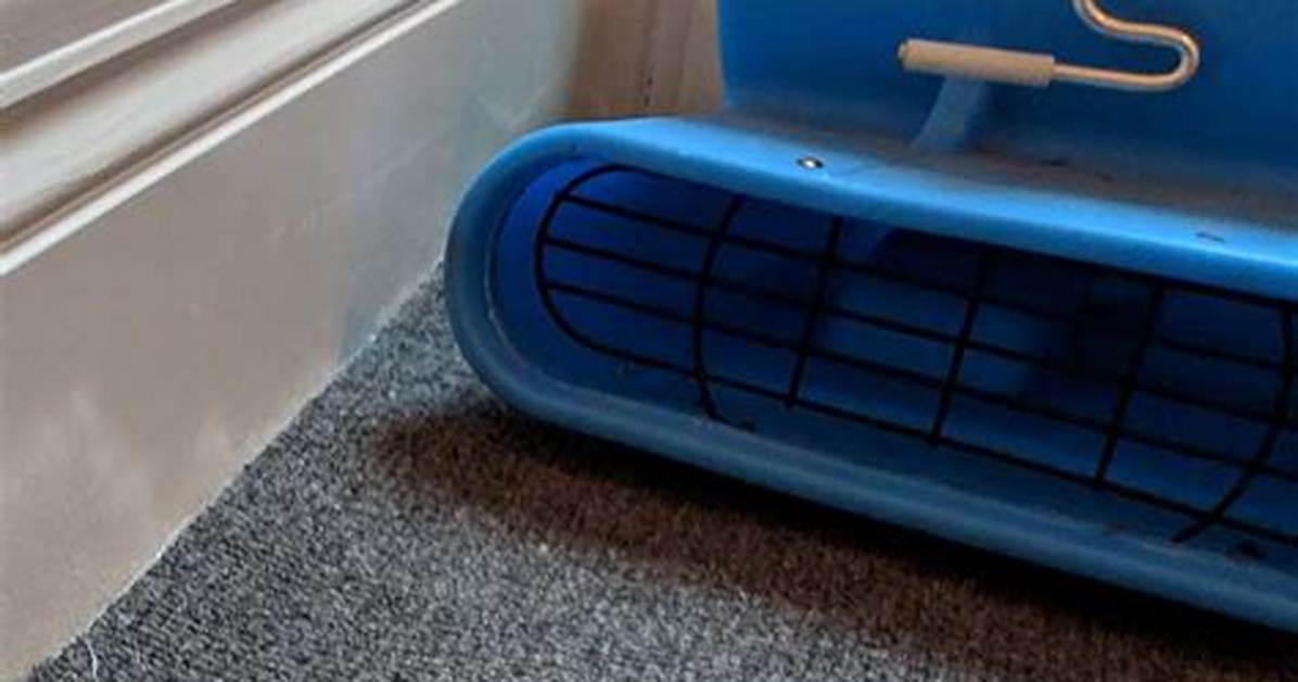 How to Dry Carpet