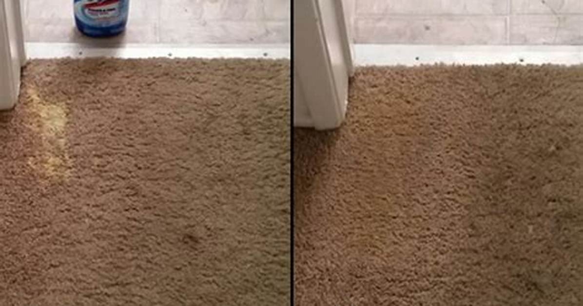 How to Dye a Carpet Bleach Stain With