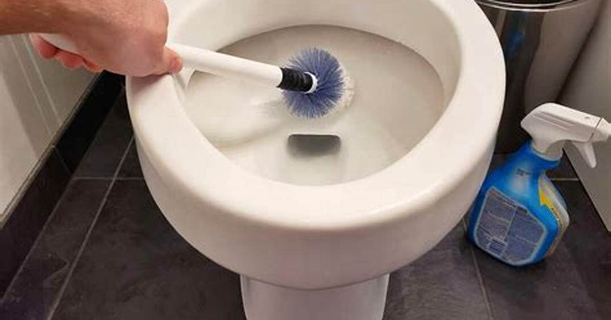 How to Empty a Toilet