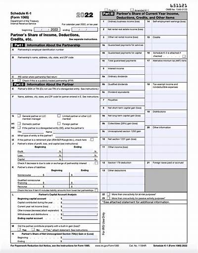 How to Fill out Schedule K-1 for a Trust?