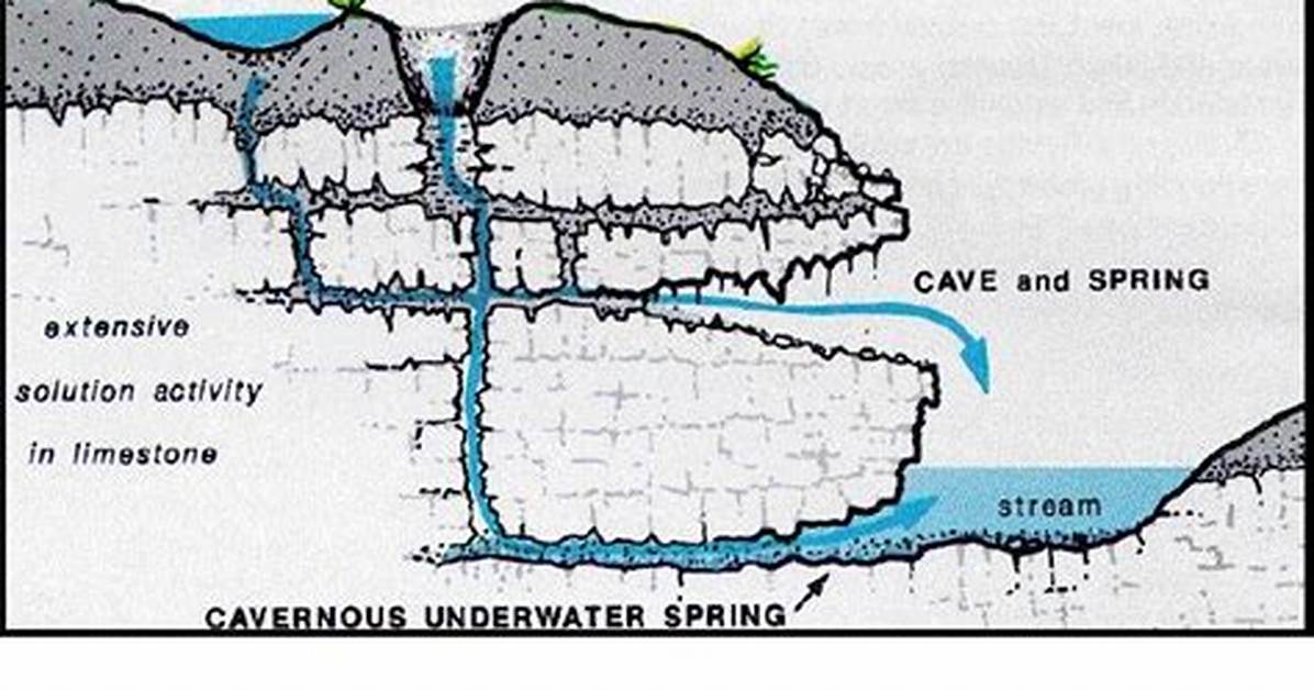 How to Find an Underground Spring on Your Property