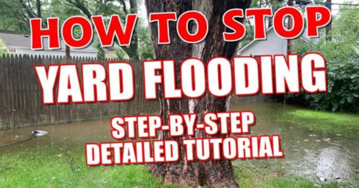 How to Fix a Flooded