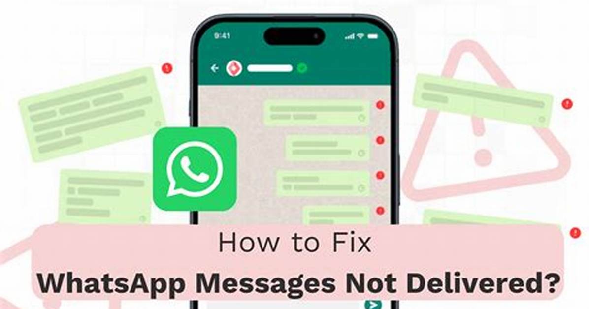 How to Fix Whatsapp Video Message Not Working? - Sarkariresult