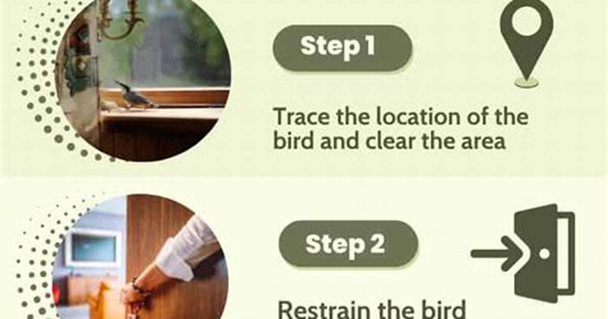 How to Get a Bird out of a Stove