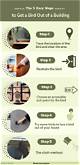 How to Get a Bird out of a Stove Vent