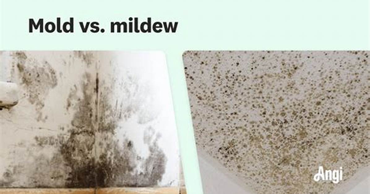 How to Get Mold and Mildew out of Polyester Clothing