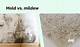 How to Get Mold and Mildew out of Polyester Clothing
