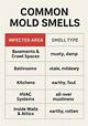 How to Get Mold Smell out of Dresser Drawers
