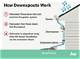How to Get Rainwater to Flow Away from Your House