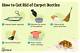 How to Get Rid of Bathroom Rug Stains