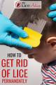 How to Get Rid of Bed Lice