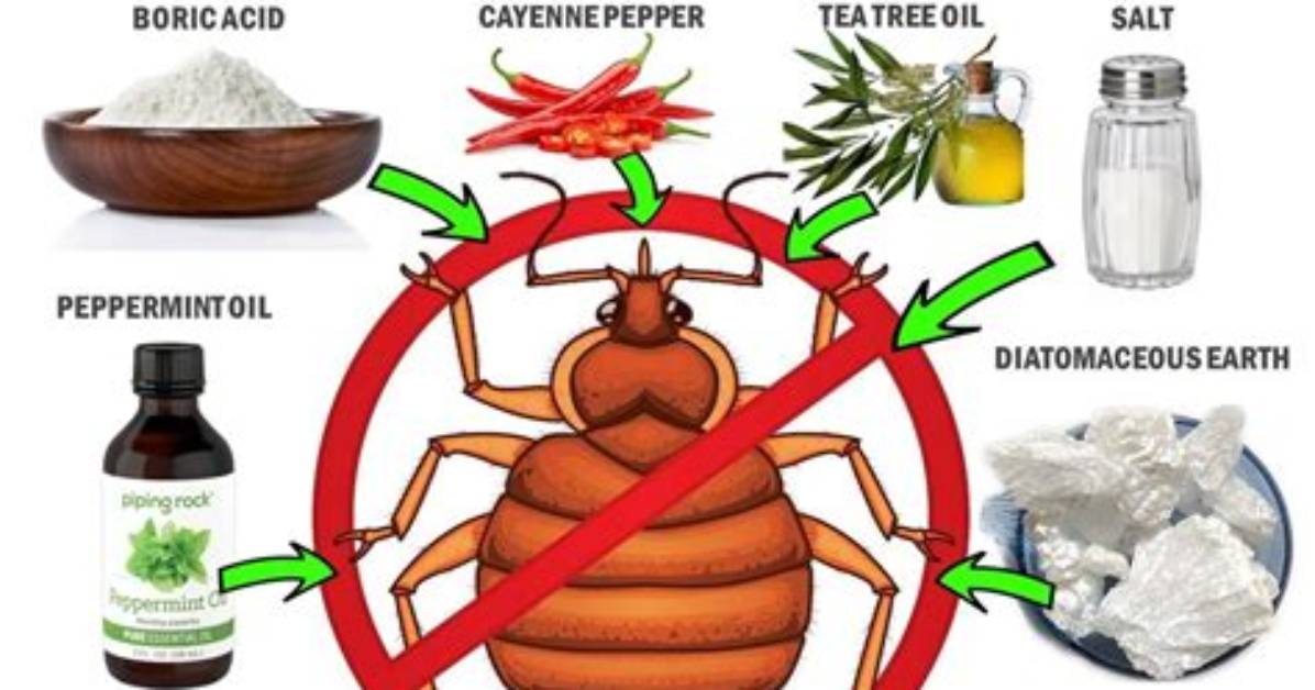 How to Get Rid of Bugs with Mouthwash