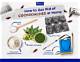 How to Get Rid of Cockroaches & Termites