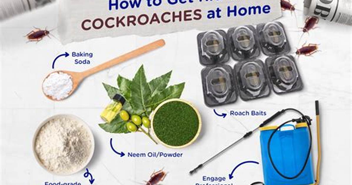 How to Get Rid of Cockroaches
