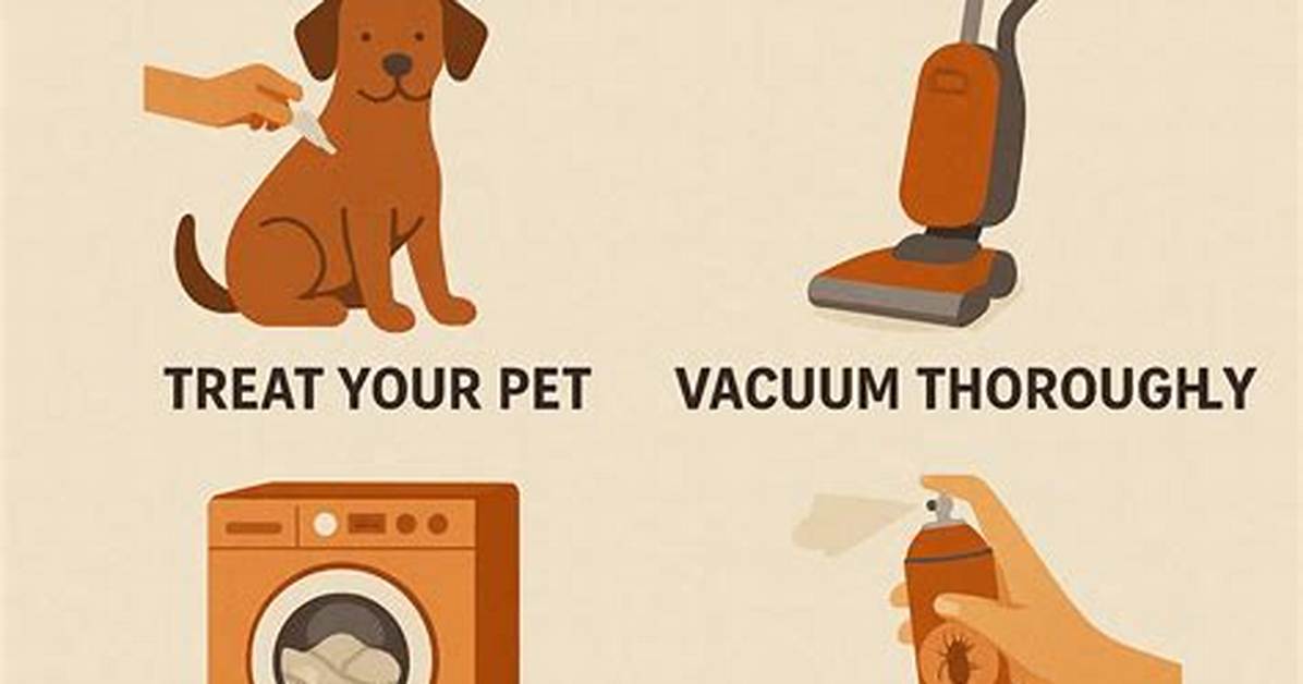 How to Get Rid of Fleas in Your Carpet with Borax and White