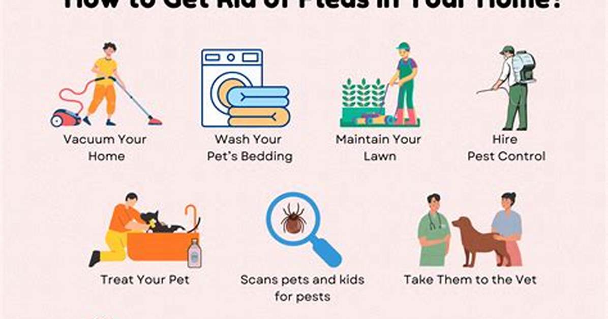 How to Get Rid of Fleas or Chiggers in The
