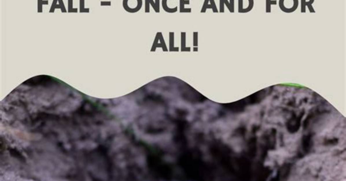 How to Get Rid of Groundhogs Moles And