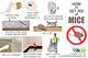 How to Get Rid of Mice Forever