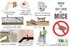 How to Get Rid of Mice Without Them Dying in Your Walls