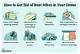 How to Get Rid of Mites in a Closet