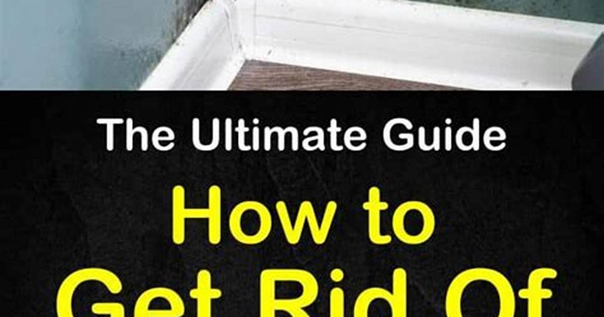 How to Get Rid of Mold on Exterior