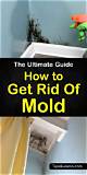 How to Get Rid of Mold on Exterior Walls