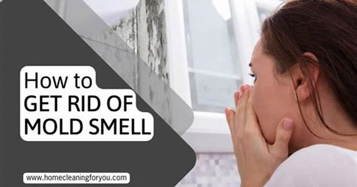 How to Get Rid of Mold Smells In