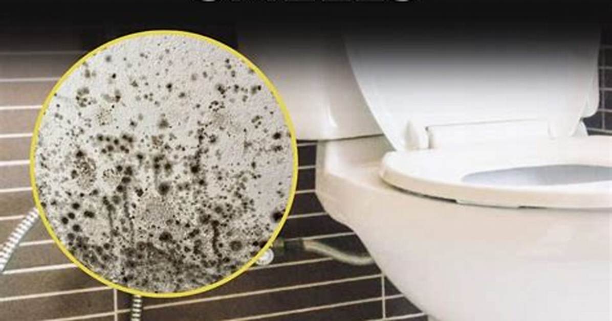 How to Get Rid of Musty Smells In