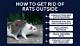 How to Get Rid of Outdoor Rats and Moles