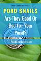 How to Get Rid of Pond Snails