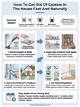 How to Get Rid of Spiders in Barns