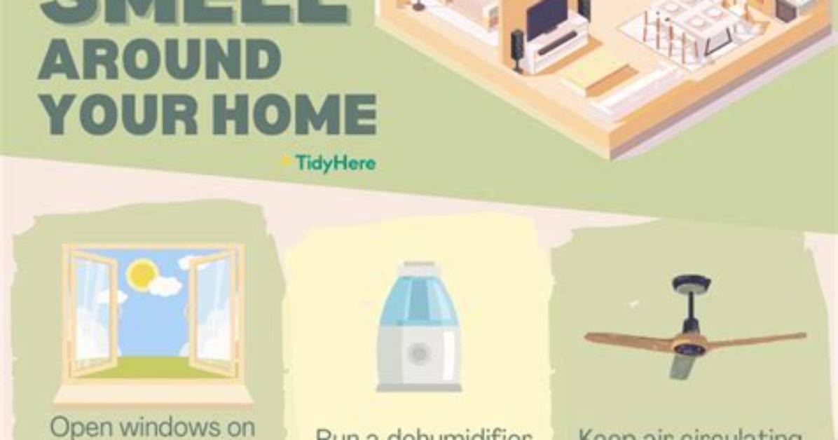 How to Get Rid of the Smell of Floor Lacquer