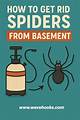 How to Get Spiders out of Your Gas Line