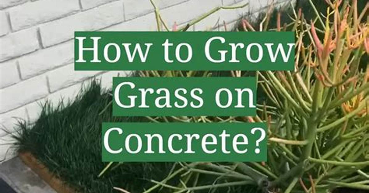 How to Grow Grass on Concrete