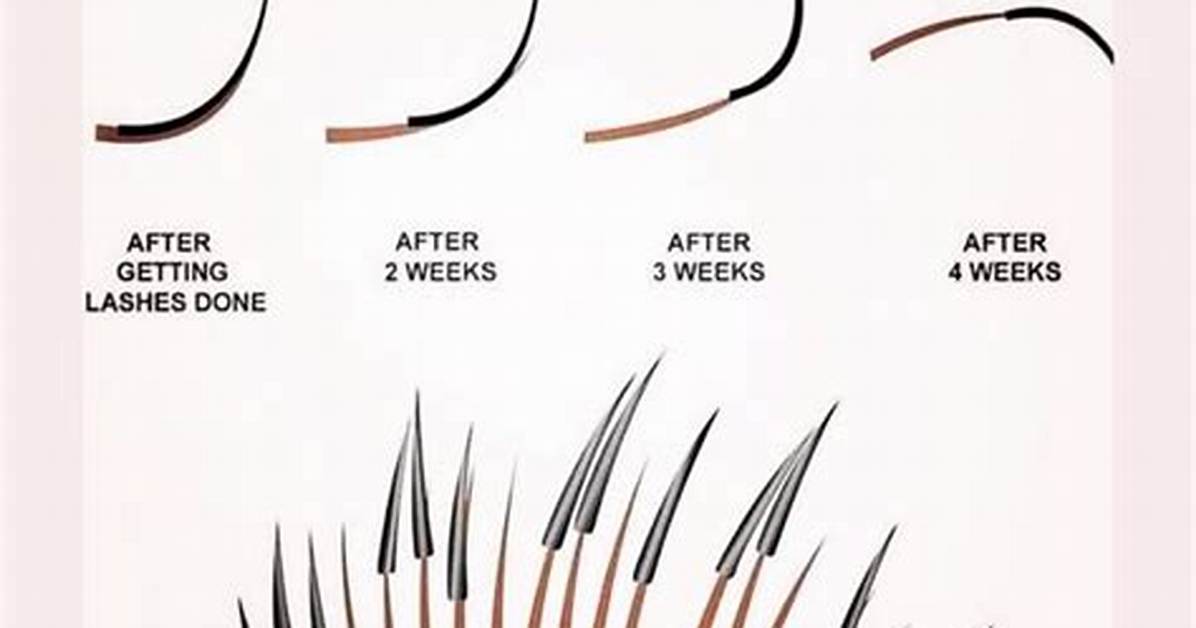 【How-To】How Long Do Lashes Take to Grow Back