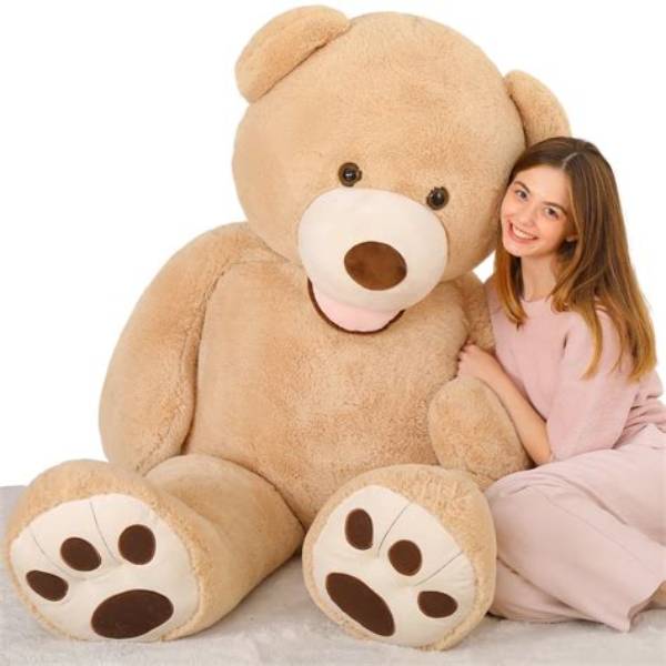 【How-To】How Much Does a Teddy Bear Dog Cost