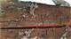 How to Identify Dry Rot