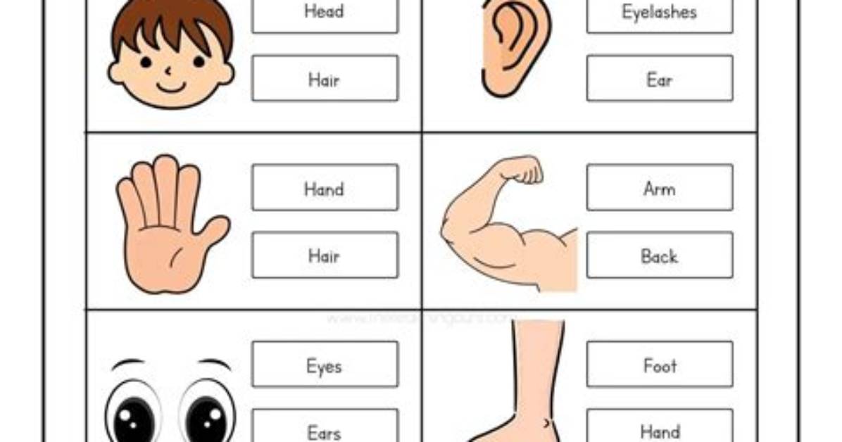 How to Identify Parts of A