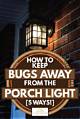 How to Keep Bugs Away from Lights Inside Our Home