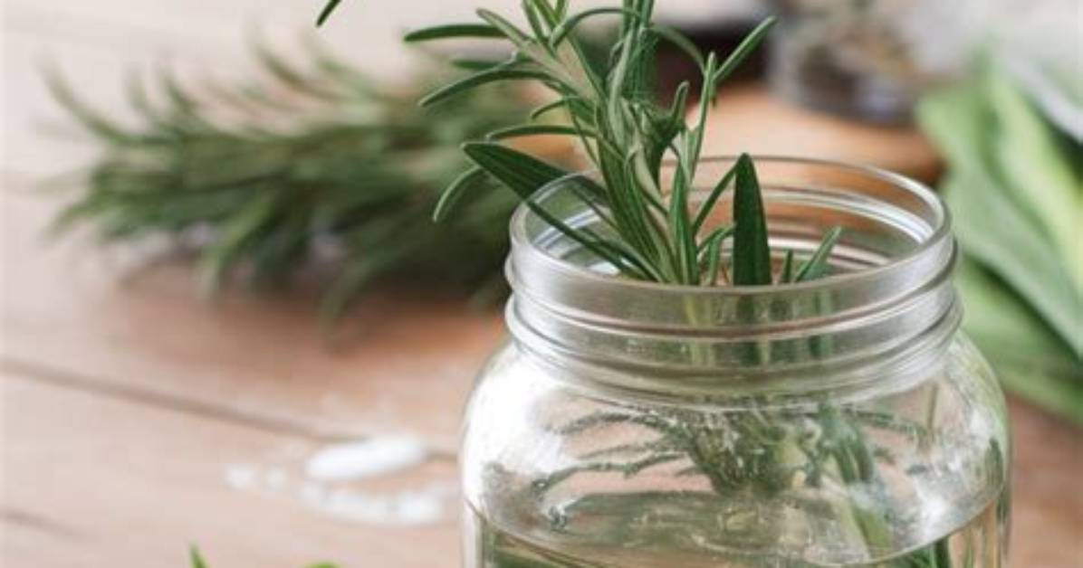 How to Keep Bugs Away from Outdoor