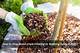 How to Keep Mulch from Floating Away