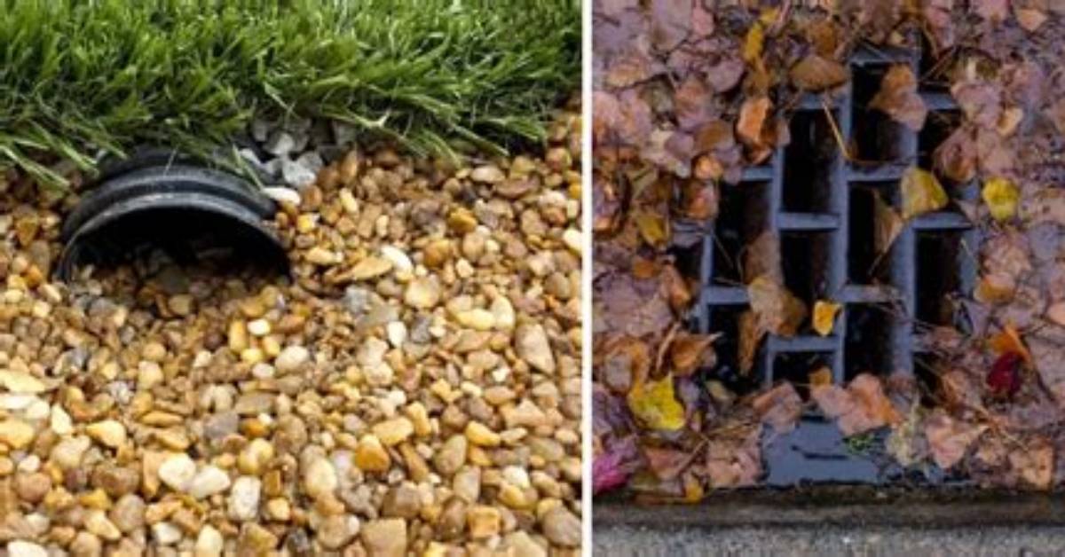 How to Keep Yard Drains