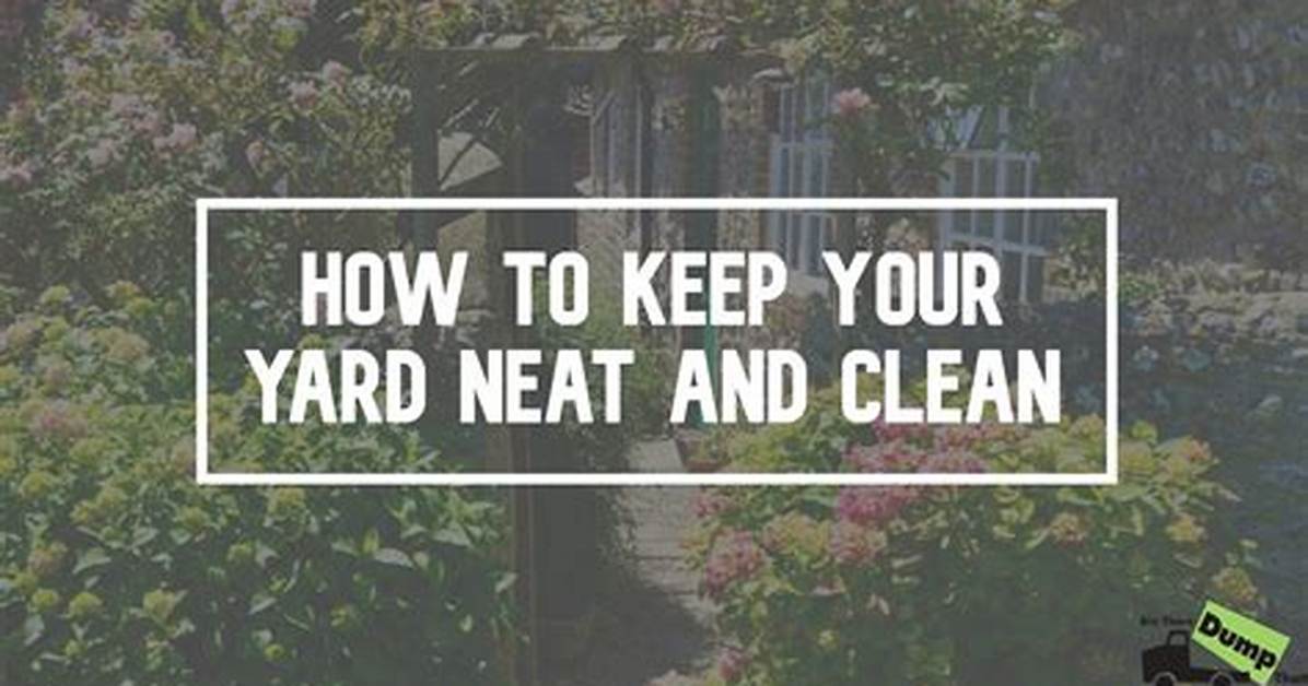 How to Keep Yard