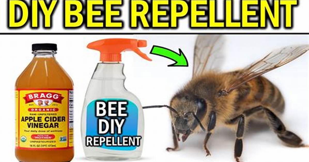 How to Kill Bees In