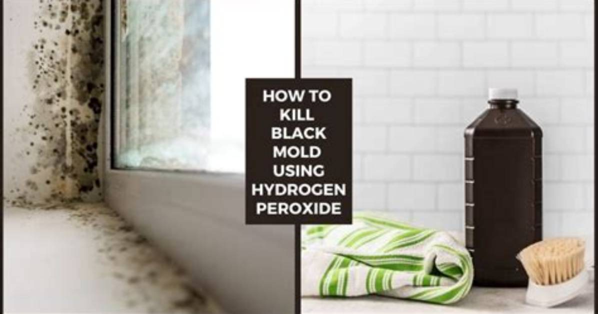 How to Kill Black Mold with Hydrogen Peroxide