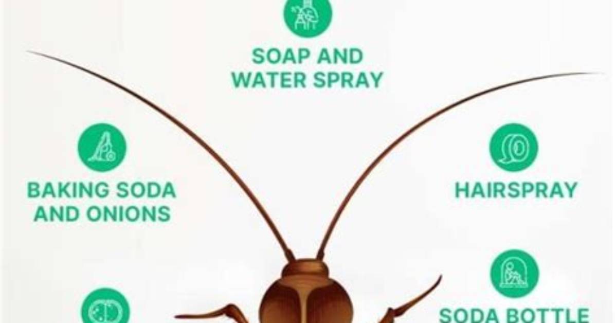 How to Kill Cockroaches With